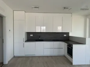 Pronájem bytu 3+kk, Brno, Placzkova, 106 m2