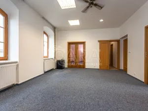 Pronájem obchodního prostoru, Mladá Boleslav - Mladá Boleslav I, Vodkova, 543 m2