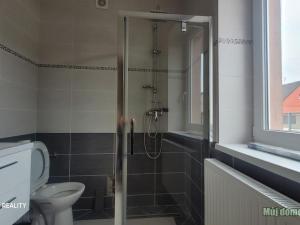 Pronájem rodinného domu, Líbeznice, U cihelny, 280 m2