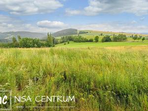 Prodej louky, Víchová nad Jizerou, 991 m2