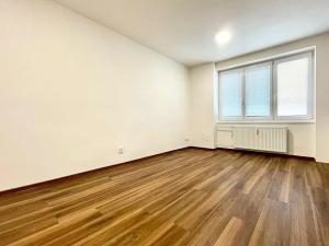 Pronájem bytu 2+kk, Lovosice, Sady pionýrů, 54 m2