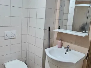 Prodej bytu 1+kk, Velké Meziříčí, Školní, 29 m2