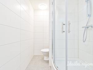Pronájem bytu 2+kk, Brno - Starý Lískovec, Kyjevská, 40 m2