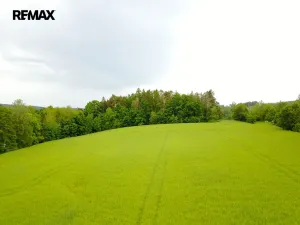 Prodej pozemku pro bydlení, Čejov - Hadina, 190028 m2