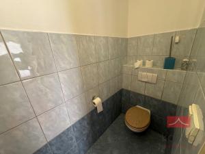 Prodej rodinného domu, Čejov, 242 m2