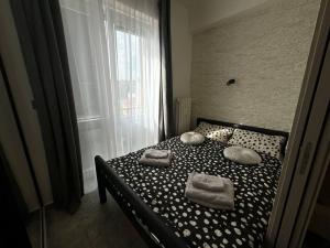 Pronájem bytu 2+kk, Praha - Nové Město, Sokolská, 22 m2