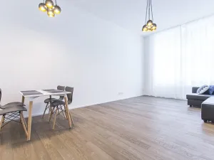 Pronájem bytu 2+kk, Praha - Nové Město, Opletalova, 80 m2