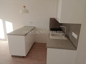 Pronájem bytu 1+kk, České Budějovice - České Budějovice 3, Fráni Šrámka, 36 m2