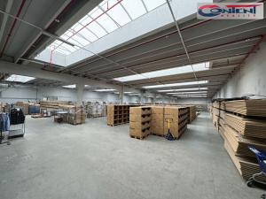 Pronájem výrobních prostor, Říčany, U Sanitasu, 11000 m2