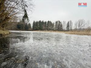 Prodej rybníku, Rychnov nad Kněžnou - Lipovka, 5965 m2