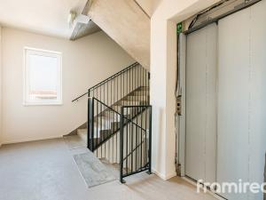 Pronájem bytu 1+kk, Brno - Trnitá, Křenová, 24 m2