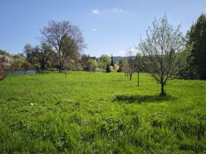 Prodej pozemku pro bydlení, Velké Popovice, 2518 m2