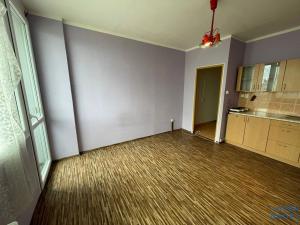 Pronájem bytu 1+kk, Most, U Věžových domů, 21 m2