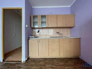 Pronájem bytu 1+kk, Most, U Věžových domů, 21 m2