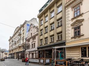 Pronájem bytu 6+kk a větší, Plzeň, Riegrova, 190 m2