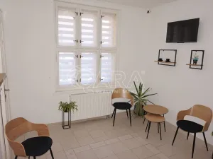 Pronájem ordinace, Ústí nad Orlicí, Havlíčkova, 45 m2