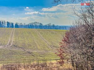 Prodej pozemku pro bydlení, Bílovec, 1188 m2