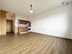 Pronájem bytu 1+kk, Karlovy Vary - Rybáře, U Koupaliště, 25 m2