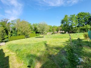 Prodej chaty, Úžice - Nechyba, 1680 m2