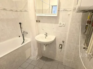 Pronájem bytu 1+kk, Písek, Krokova, 42 m2