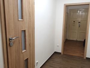 Pronájem bytu 2+1, Praha - Žižkov, Hartigova, 62 m2