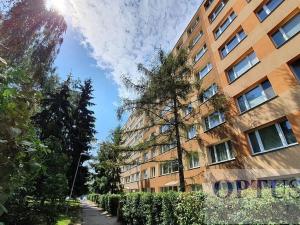 Pronájem bytu 1+kk, Praha - Podolí, Kaplická, 35 m2