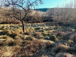 Prodej pozemku pro bydlení, Nová Bystřice - Albeř, 1074 m2