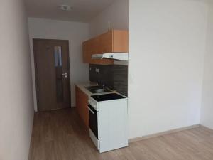 Pronájem bytu 1+kk, Uherský Brod, 30 m2