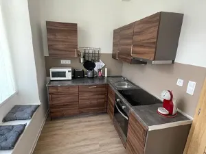 Pronájem bytu 2+kk, Černý Důl, 61 m2