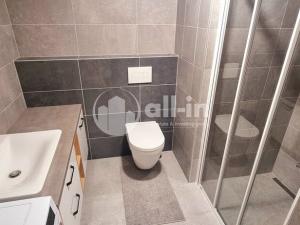 Pronájem bytu 1+kk, Vyškov - Dědice, Sídliště Osvobození, 29 m2