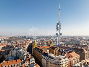 Prodej bytu 1+kk, Praha - Žižkov, Ježkova, 43 m2