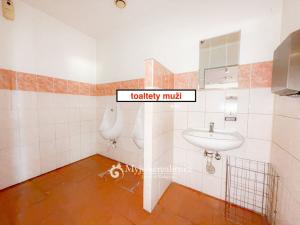 Pronájem obchodního prostoru, Znojmo - Oblekovice, Evropská, 230 m2