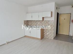 Pronájem bytu 1+kk, Ústí nad Labem - Severní Terasa, Pod Parkem, 19 m2