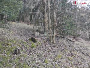 Prodej pozemku pro bydlení, Březová, Cínová, 4431 m2