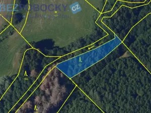 Prodej lesa, Vysočina, 26720 m2