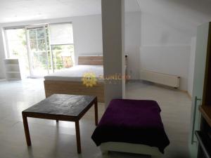 Pronájem bytu 1+kk, Hradec Králové - Svobodné Dvory, Bohdanečská, 57 m2