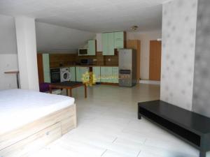 Pronájem bytu 1+kk, Hradec Králové - Svobodné Dvory, Bohdanečská, 57 m2