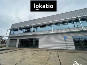 Pronájem skladu, Ostrava - Hrabůvka, 461 m2