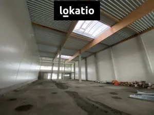 Pronájem skladu, Ostrava - Hrabůvka, 461 m2