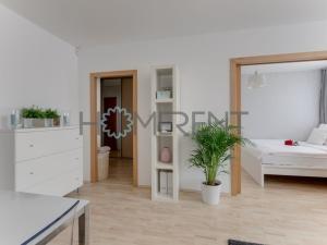 Pronájem bytu 2+kk, Praha - Žižkov, Na Jarově, 74 m2