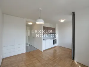 Pronájem bytu 1+kk, Praha - Vinohrady, Lucemburská, 30 m2