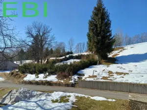 Prodej rodinného domu, Rokytnice nad Jizerou - Horní Rokytnice, Horní Rokytnice, 290 m2
