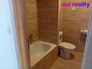Pronájem bytu 1+kk, Kadaň, Golovinova, 21 m2