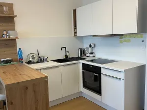 Pronájem bytu 1+kk, Praha - Vysočany, Hindlova, 30 m2