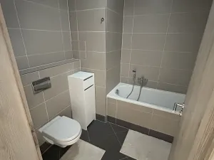 Pronájem bytu 1+kk, Praha - Letňany, Hlučkova, 42 m2