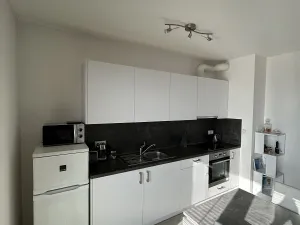 Pronájem bytu 1+kk, Praha - Letňany, Hlučkova, 42 m2