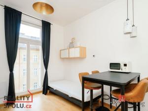 Prodej bytu 1+kk, Praha - Nové Město, Příčná, 22 m2