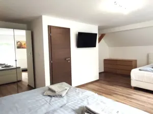 Prodej apartmánu, Zlaté Hory - Ondřejovice, 250 m2