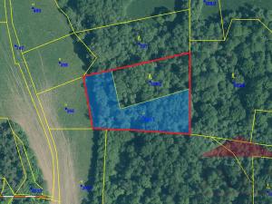 Prodej lesa, Žihobce, 5431 m2