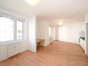 Pronájem bytu 1+kk, Praha - Záběhlice, Ginzova, 45 m2